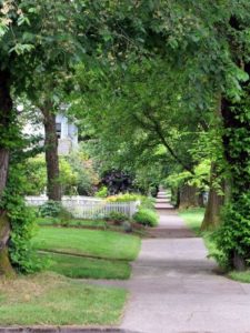 Green streets of Portland