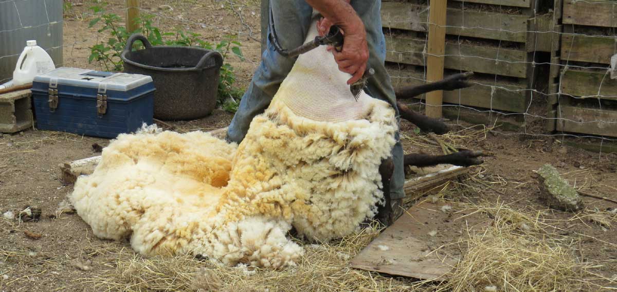 A Shepherds life. A story of the lake district