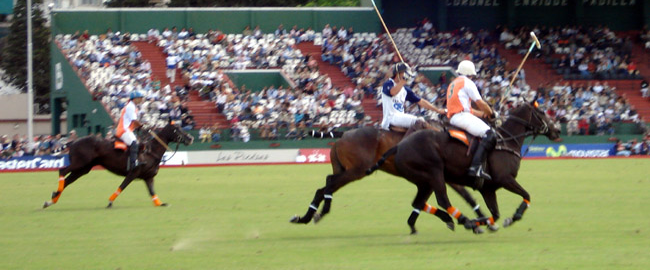 Polo championship Buenos Aires