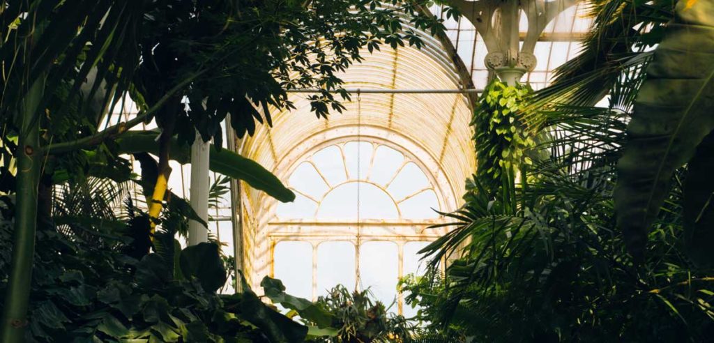 Royal Botanic Gardens London