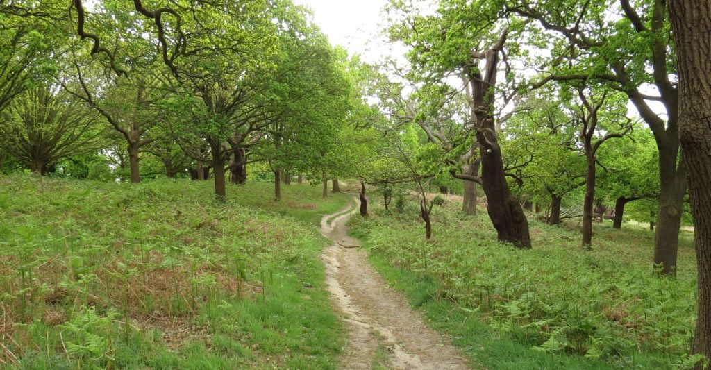 The best way to see Britain is on foot